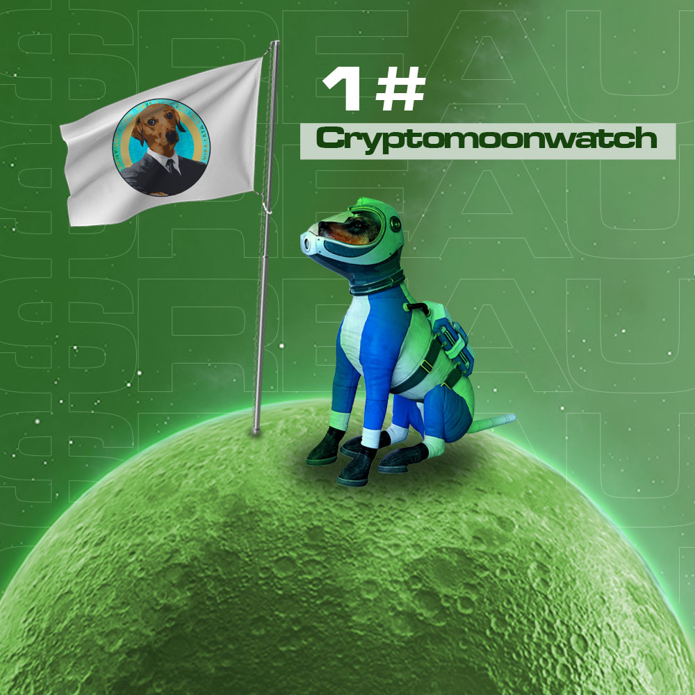 REAU @ Crypto Moon Watch - Vira-lata Finance